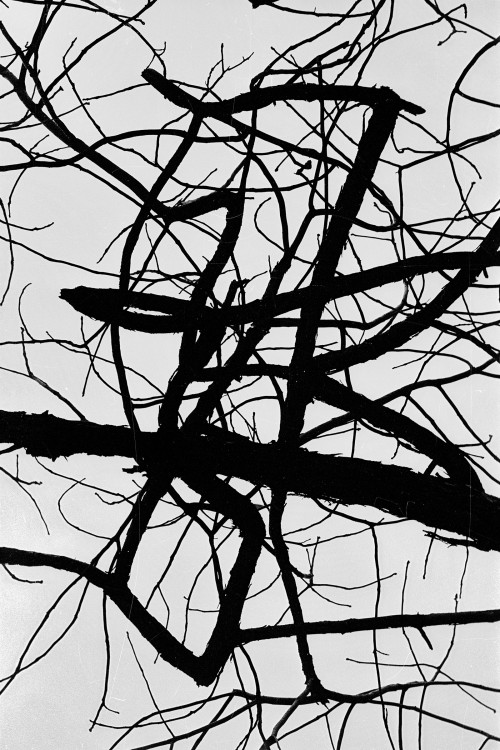 polgegh_19970300_0852_33a34.jpg