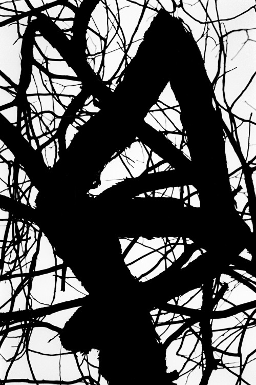 polgegh_20050120_1191_26a.jpg