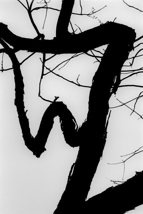 polgegh_20061224_1255_21a.jpg