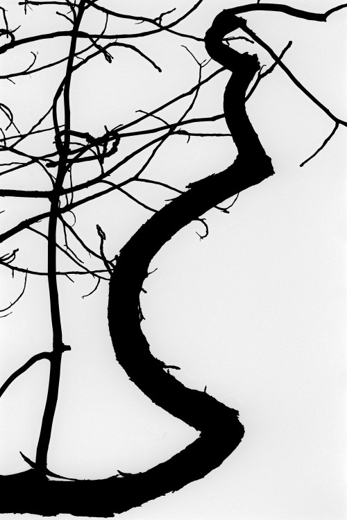 polgegh_20150313_1803_24a25.jpg