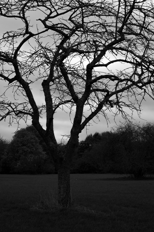 polgegh_20251014_dsf9631.jpg