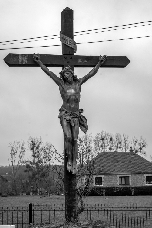 polgegh_20241230_dsf3761.jpg