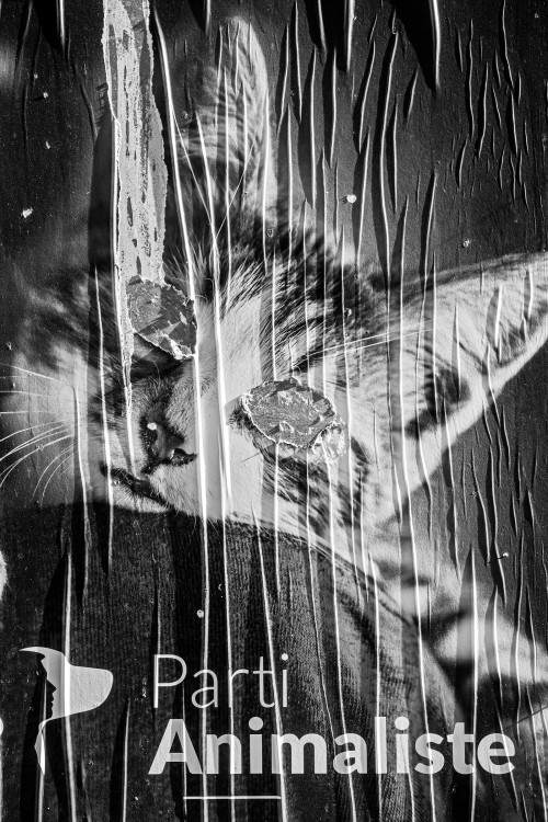polgegh_20240605_dsf9994.jpg