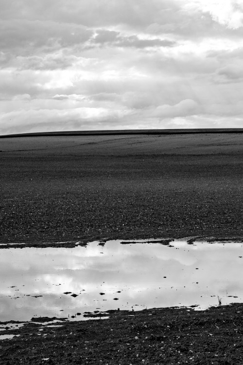 polgegh_20240524_dsf9544.jpg