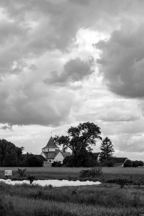 polgegh_20240524_dsf9518.jpg