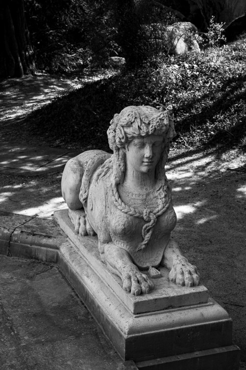 polgegh_20250320_dsf6994.jpg