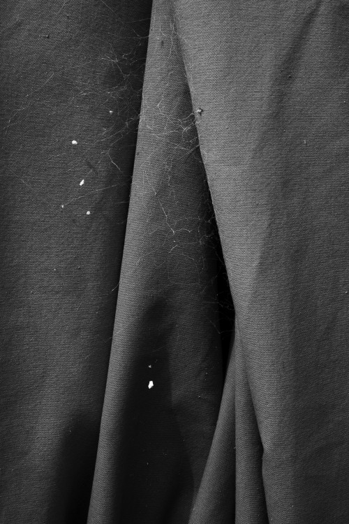 polgegh_20250325_dsf7203.jpg