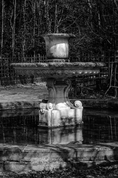 polgegh_20250325_dsf7231.jpg