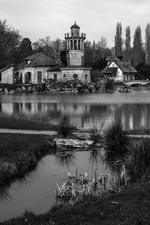 polgegh_20250325_dsf7380.jpg