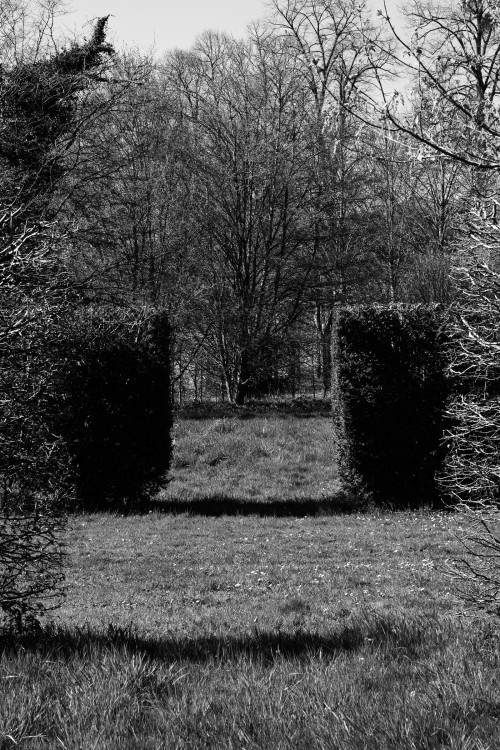 polgegh_20250401_dsf7502.jpg