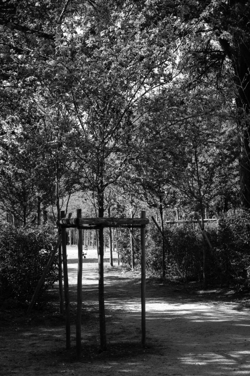 polgegh_20250410_dsf7737.jpg