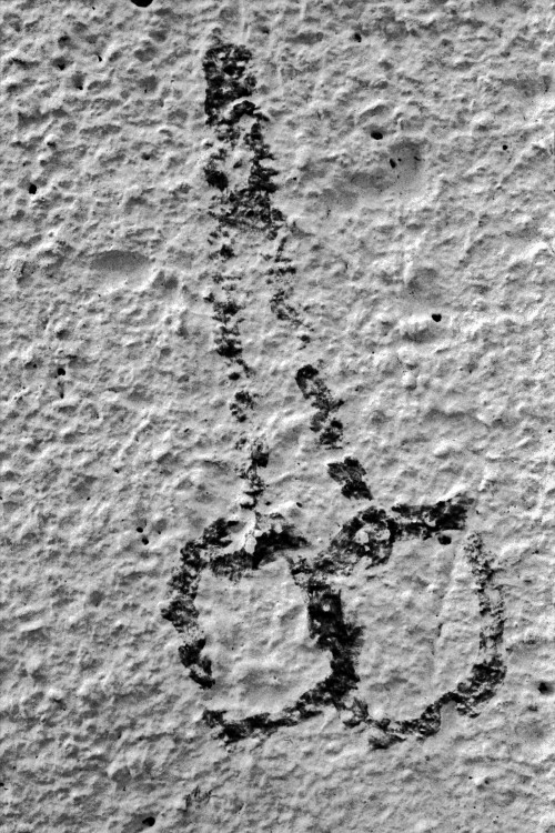 polgegh_20100622_1555_27_a4.jpg
