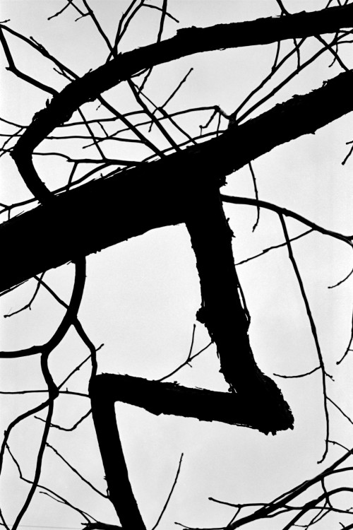 polgegh_20010314_0986_26a27.jpg