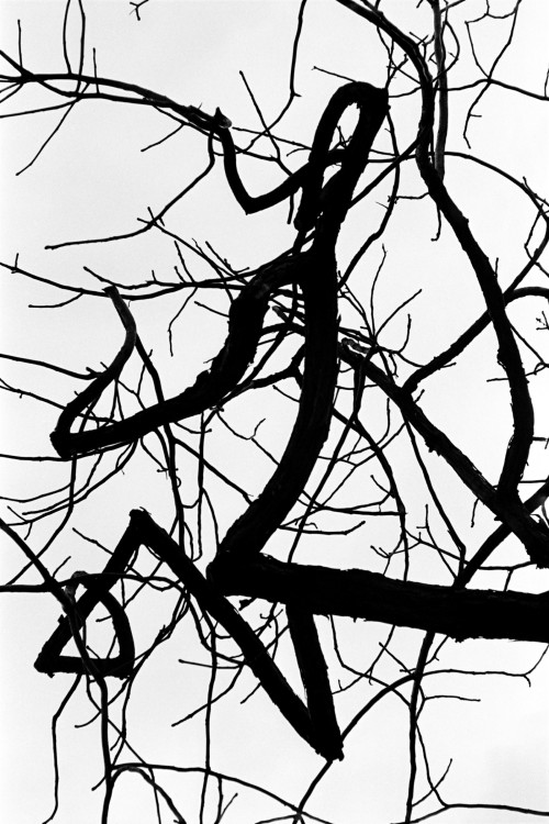 polgegh_20010314_0986_27a28.jpg