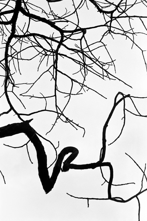 polgegh_20010314_0986_09a10.jpg