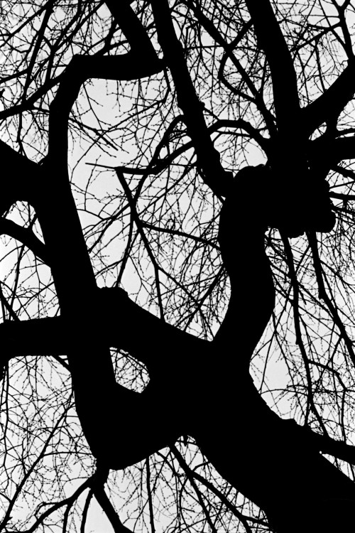 polgegh_20010222_0983_33a.jpg