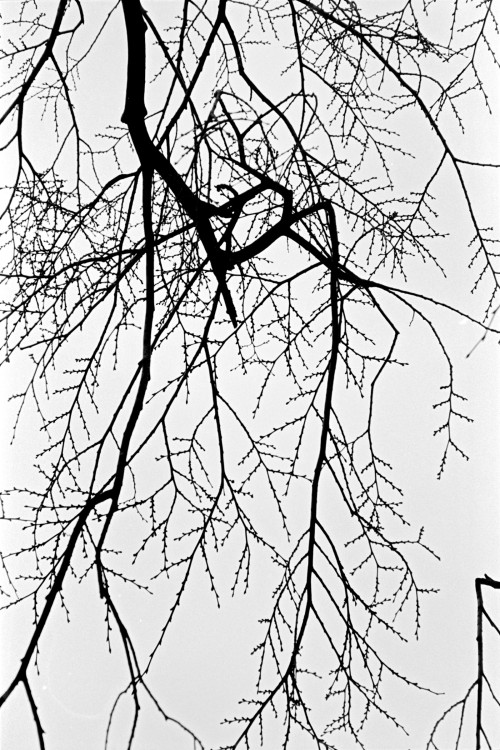 polgegh_20010222_0983_32a.jpg