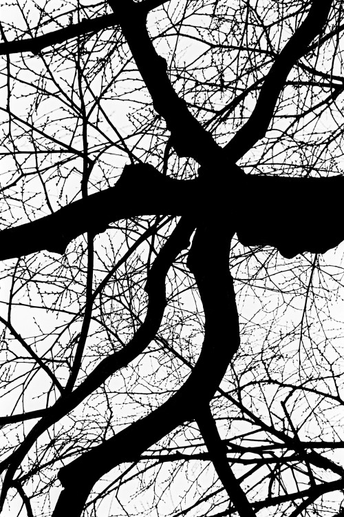 polgegh_20010222_0983_23a.jpg