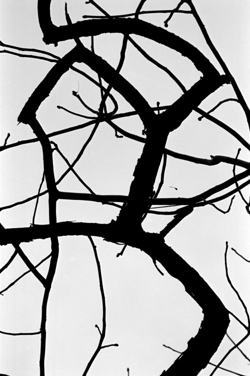 polgegh_20010211_0983_17a.jpg