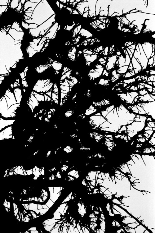 polgegh_20100223_1523_31.jpg