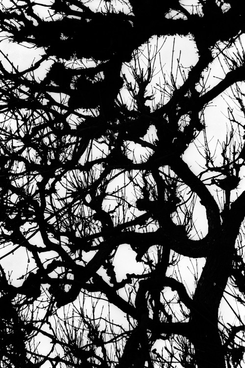 polgegh_20100206_1517_06a07.jpg
