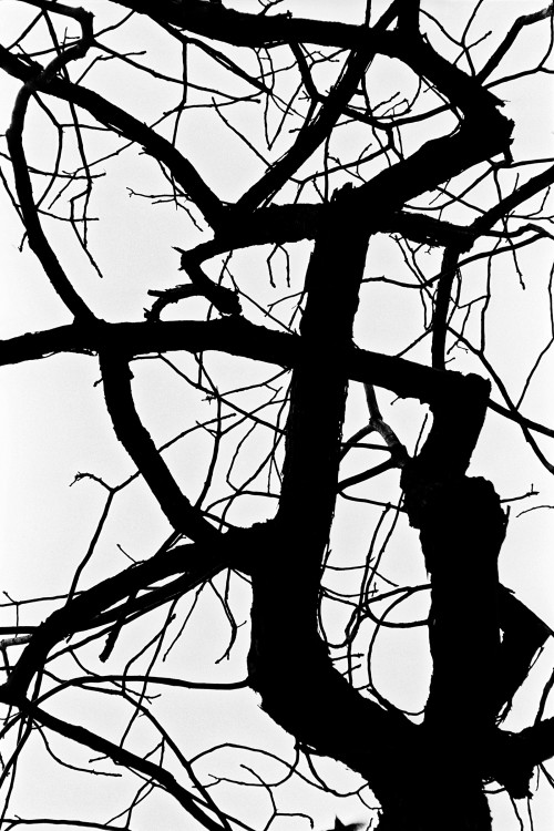 polgegh_20010211_0982_29a.jpg