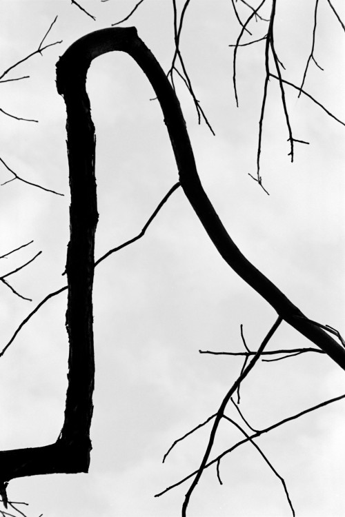 polgegh_19990101_0918_25a.jpg