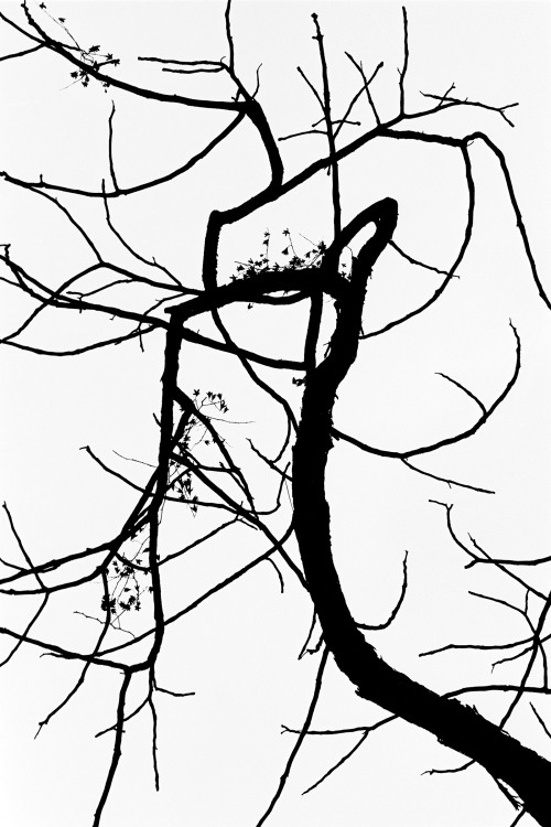 polgegh_19970300_0852_29a30.jpg