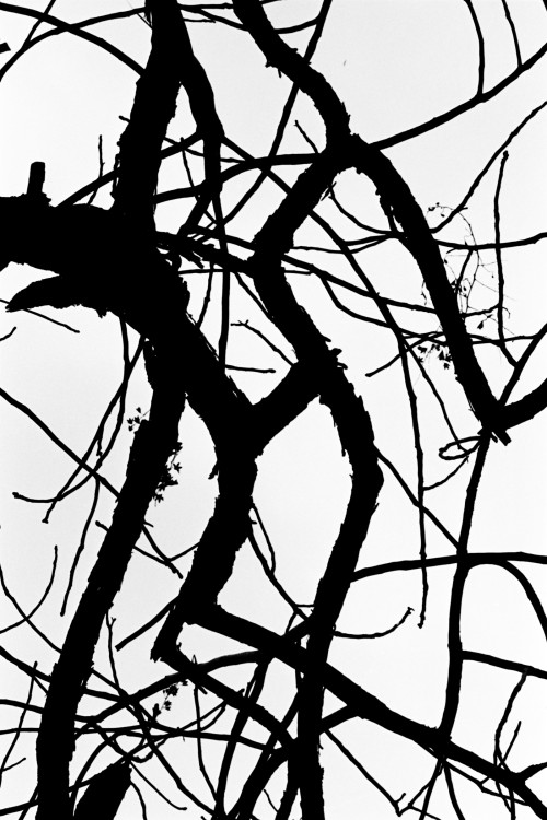polgegh_19970300_0852_26a27.jpg