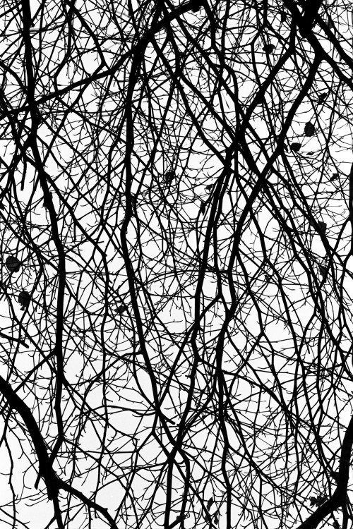 polgegh_19970300_0852_19a20.jpg